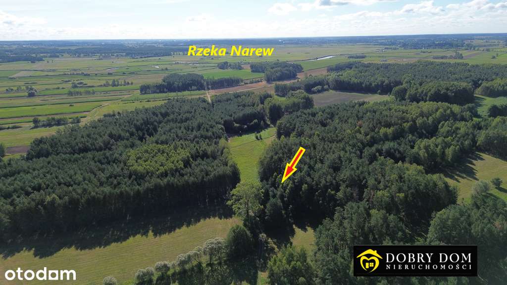 Działka leśno-rolna na Narwią - Pełny obrazek: 5/18