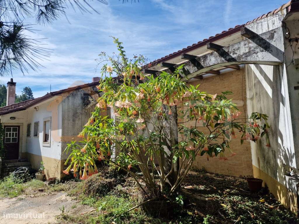 RESTAURANTE COM VISTA PARA A RIBEIRA. - Grande imagem: 3/20