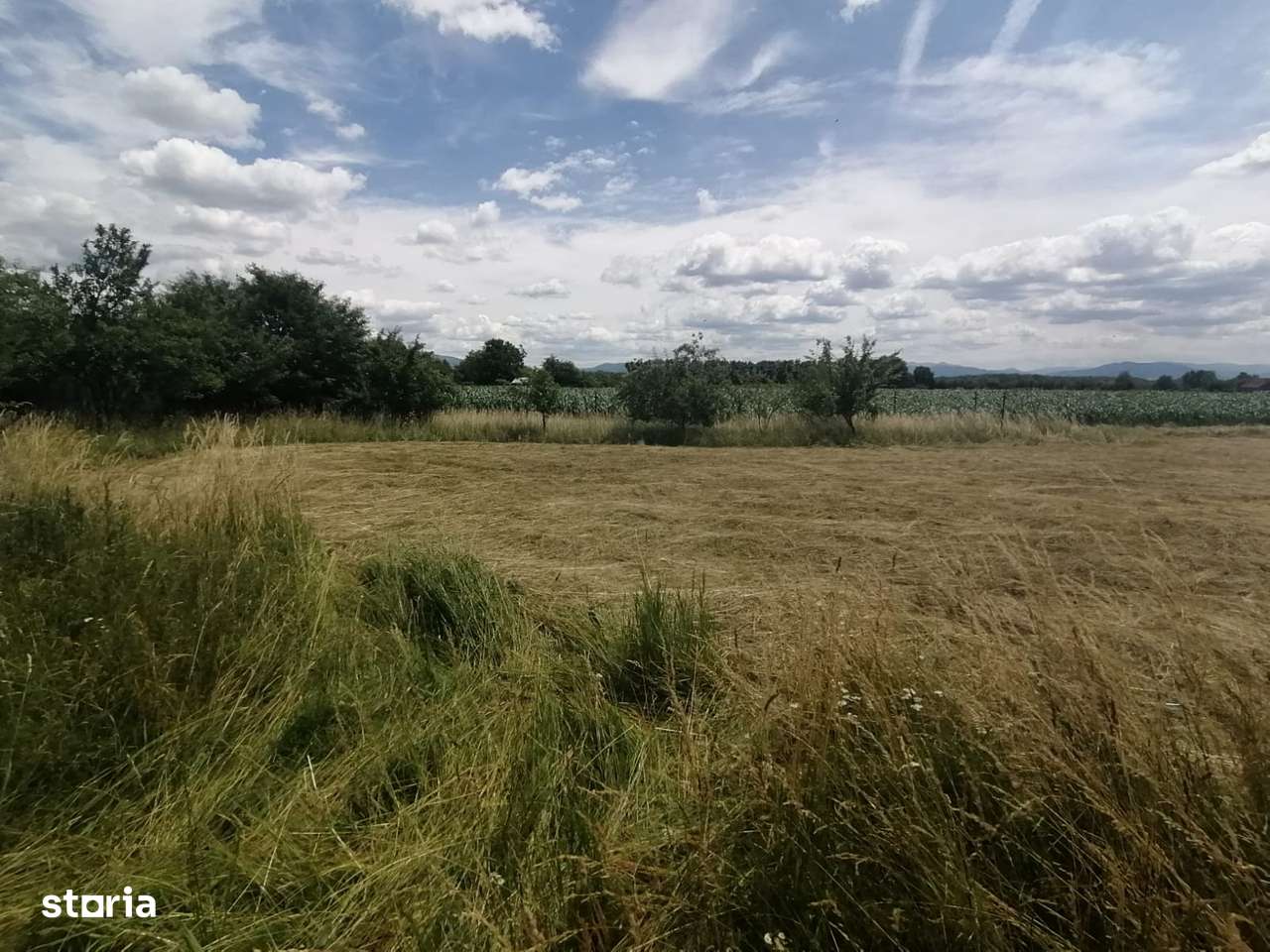 Teren intravilan de vanzare P Olt - Imagine principală: 3/6