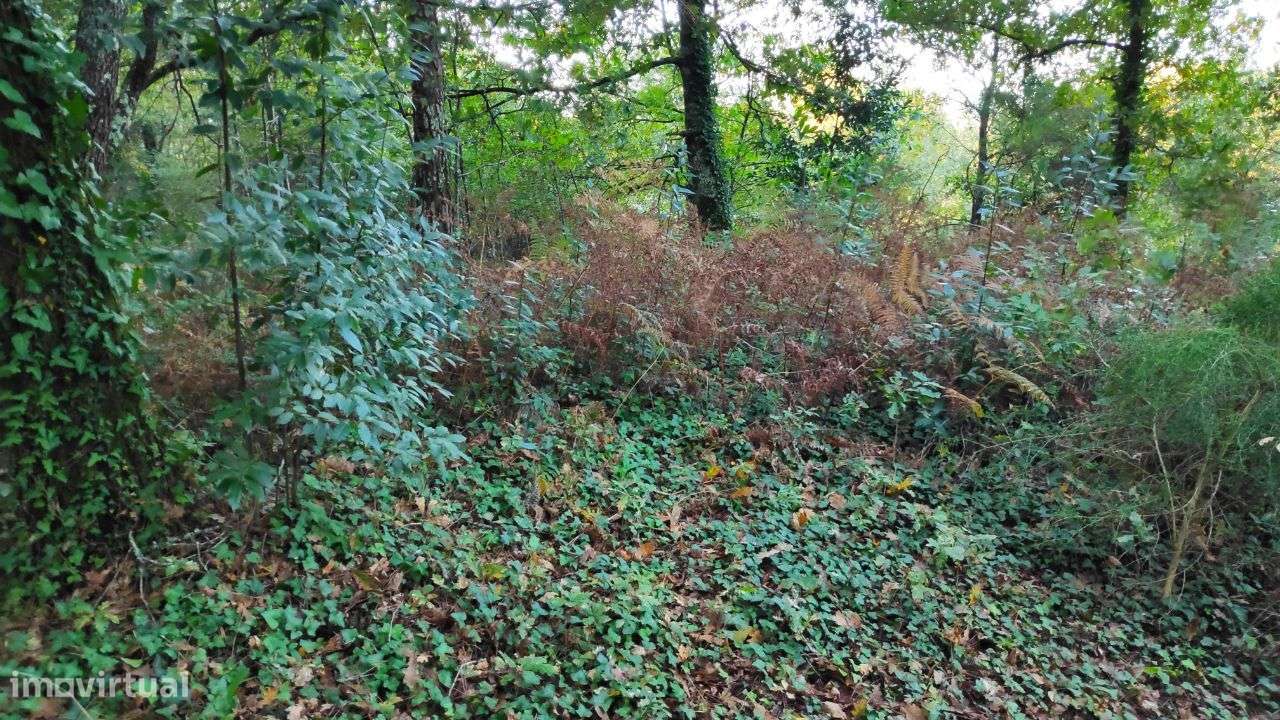 Terreno em Rendufe, Amares - Grande imagem: 4/12