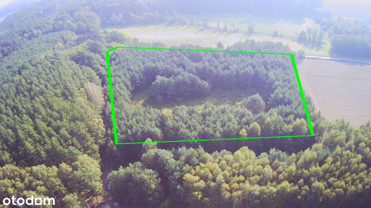 Działka z prywatnym lasem | Wydane Warunki Zabudowy - Pełny obrazek: 5/6