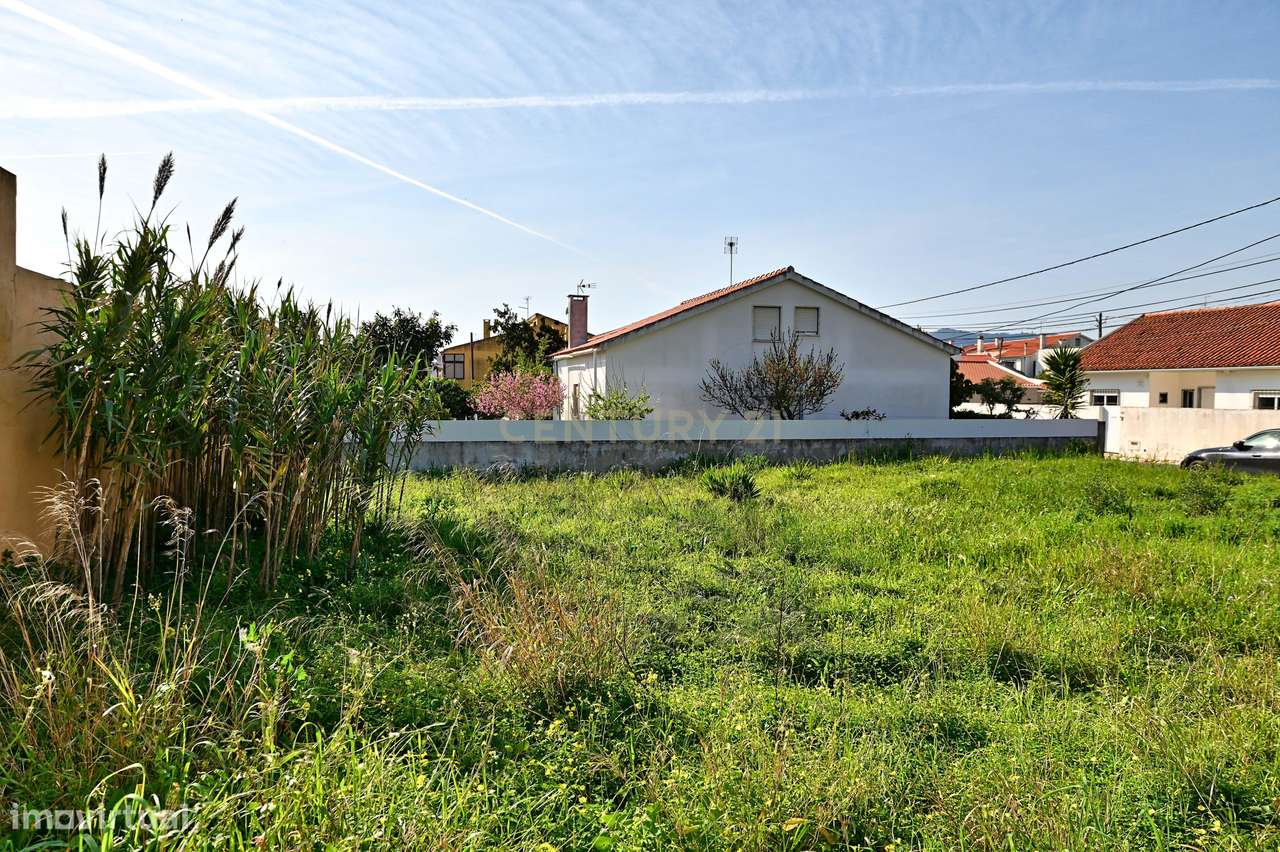 Terreno urbano em consolidação – oportunidade de valorização em Cabra-7
