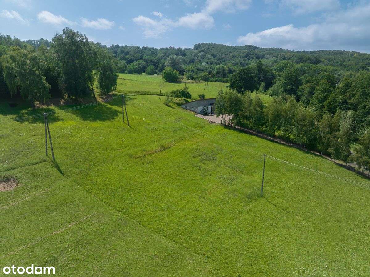 Urokliwa działka 16a, 15 minut od Krakowa - Pełny obrazek: 4/14