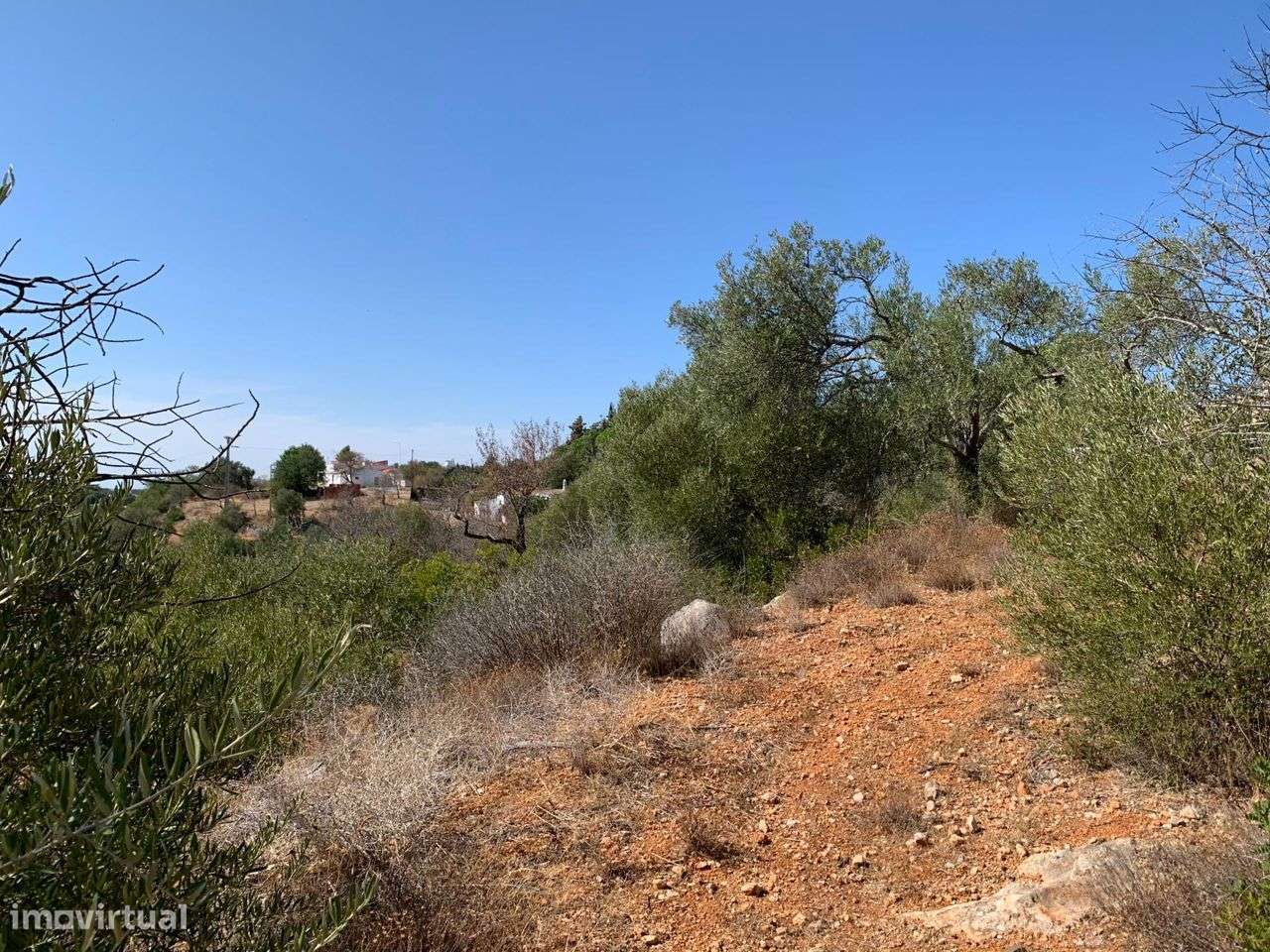 Terreno Urbano, com 3 artigos, Colmeal-27