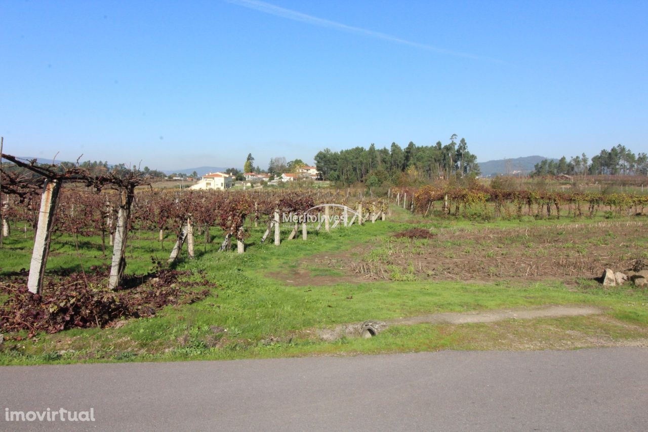 Terreno Agrícola em Areias de Vilar