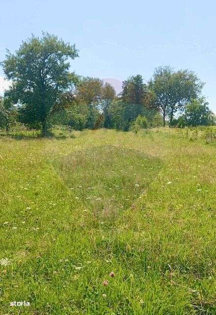 Teren 1,915mp Breb / Drumul Principal - Imagine principală: 3/5