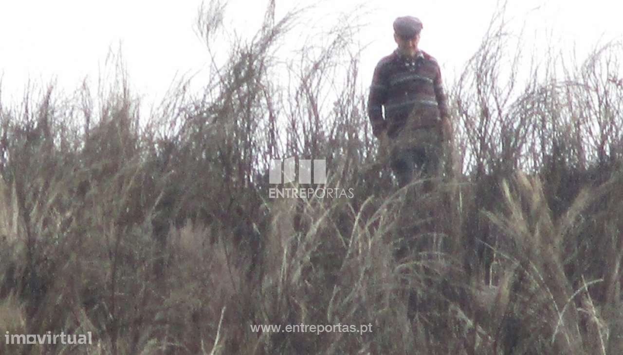 Venda Terreno, São Simão, Amarante - Grande imagem: 5/13