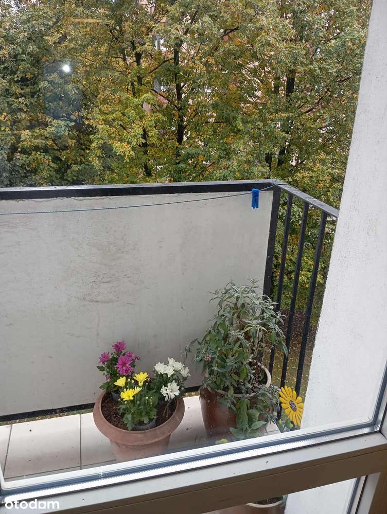 Ładne mieszkanie gotowe do zamieszkania-14