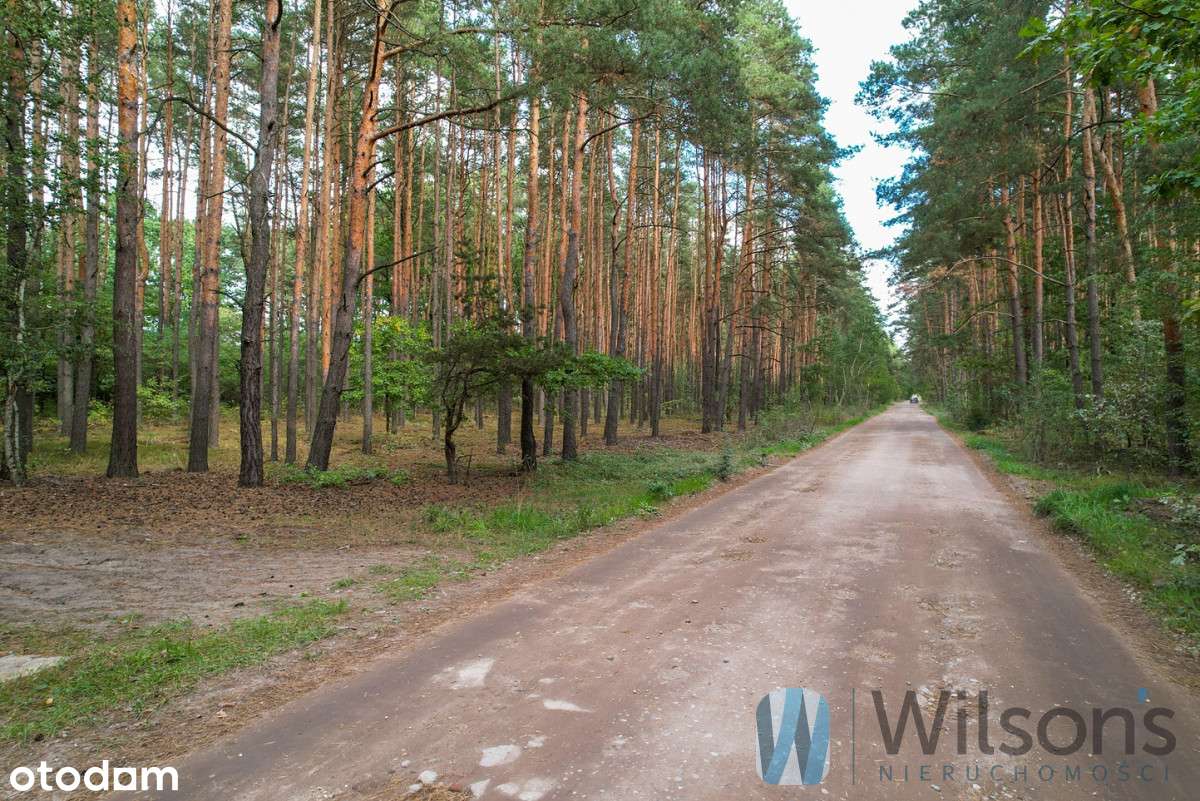 Działka z Mpzp częściowo zalesiona! - Pełny obrazek: 4/4