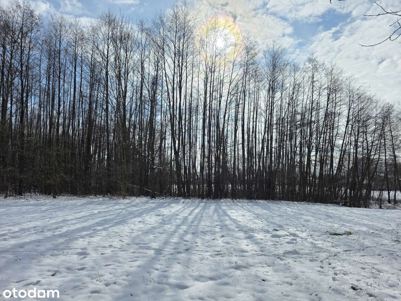 Działka 19 arów – idealna na rekreację | Wójtowa-10