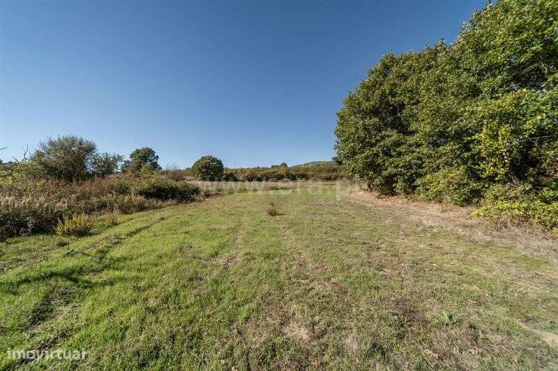 Herdade T6 / Covilhã, Boidobra-18