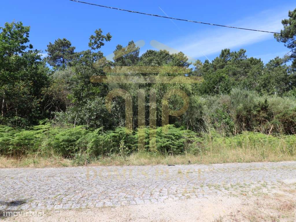 Terreno com 17.800 m², Casa para Reconstruir e mina de Água - Soalh...-23