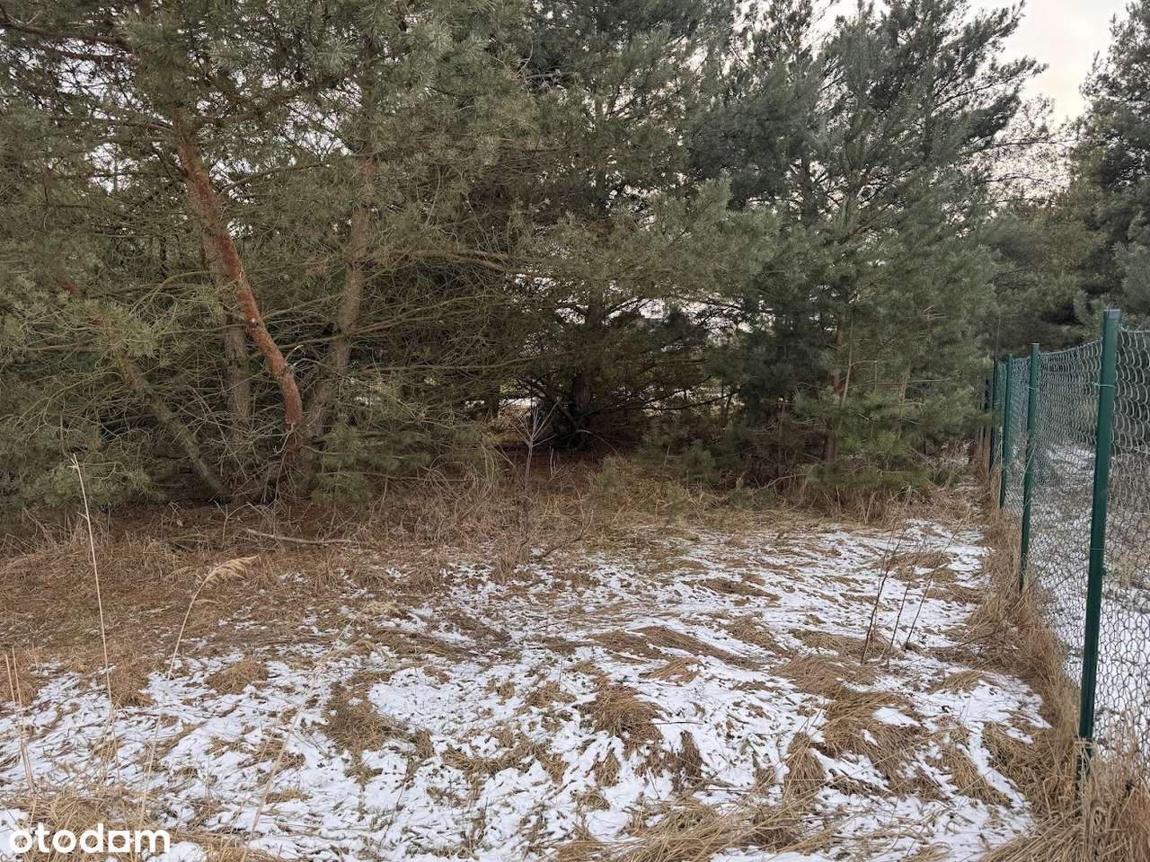 Wierzyce/Osiedle Pod Sosnami/P,W,G,K-6