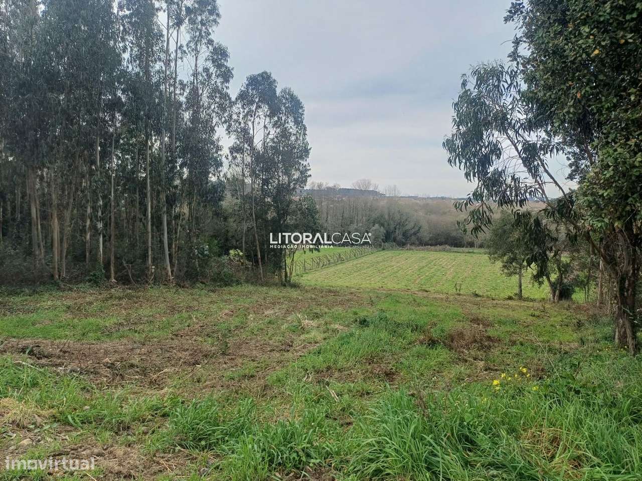 Terreno | Horta - Eixo - Grande imagem: 5/16