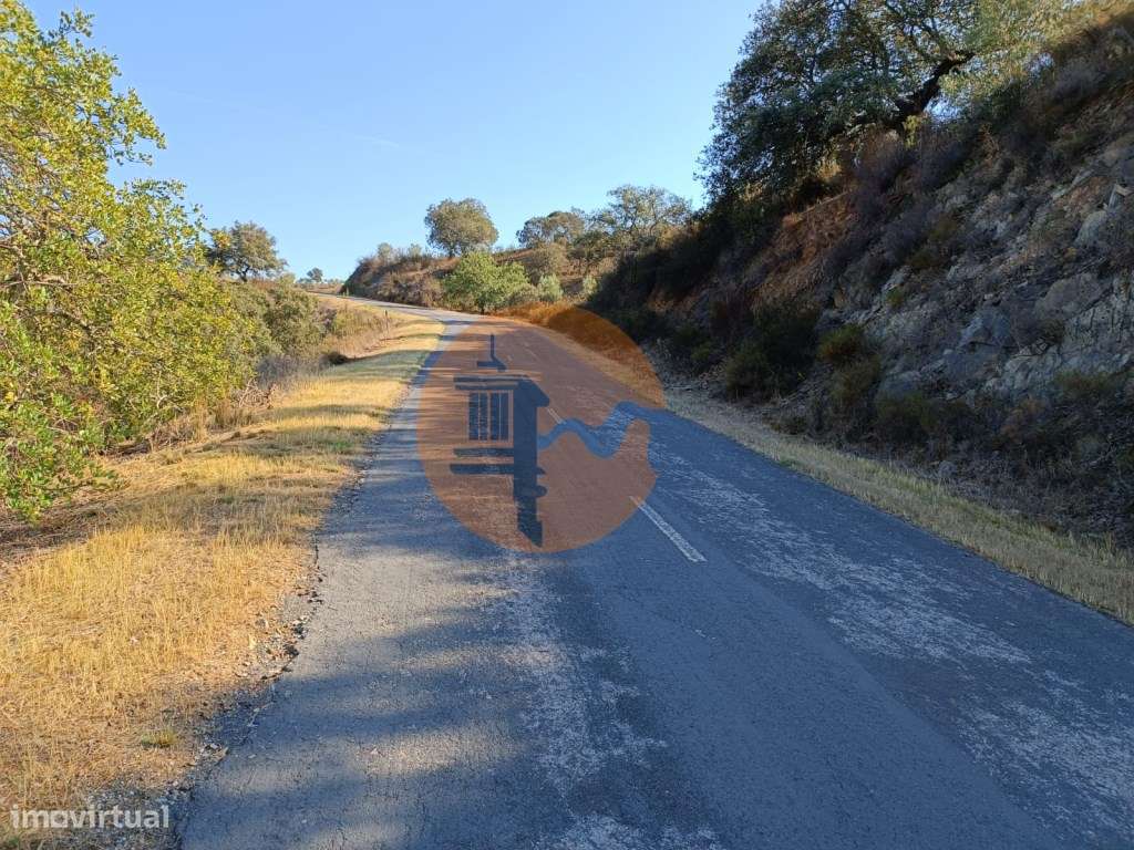 TERRENO RUSTICO COM 11.000 M2 - BONS ACESSOS - ALCARIAS GRANDES - C... - Grande imagem: 4/56