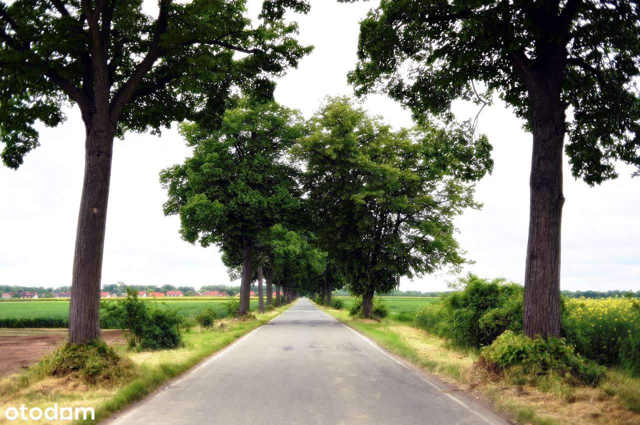 Działka budowlana 1200 m² | Sadowice k. Wrocławia-3