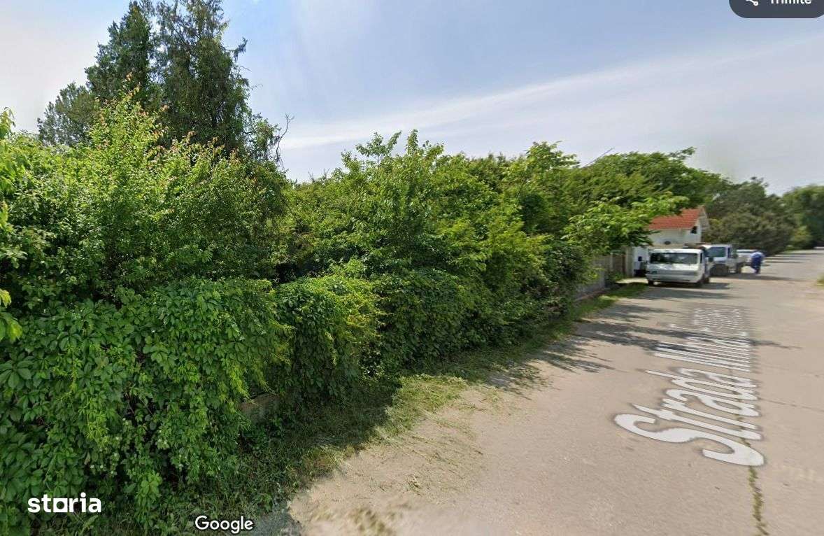 Izvorani | Deschidere la Lacul Snagov | Aparare de mal - Imagine principală: 5/8