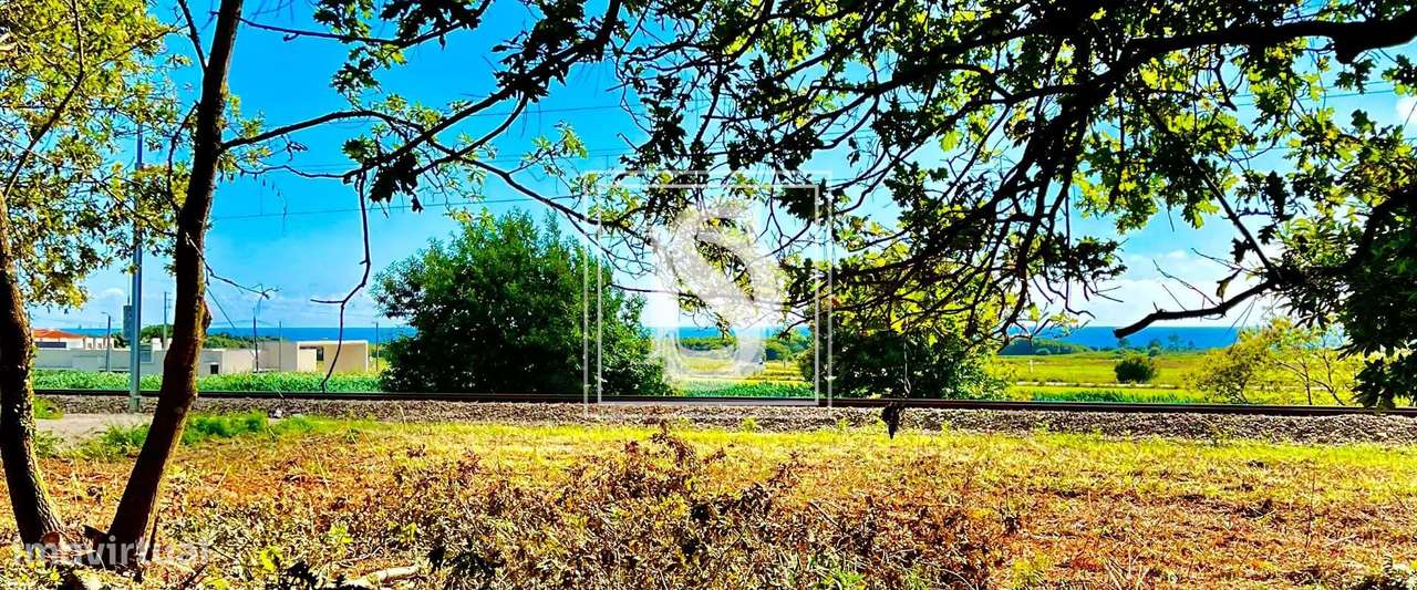 Terreno Não definido em Carreço - Grande imagem: 4/11