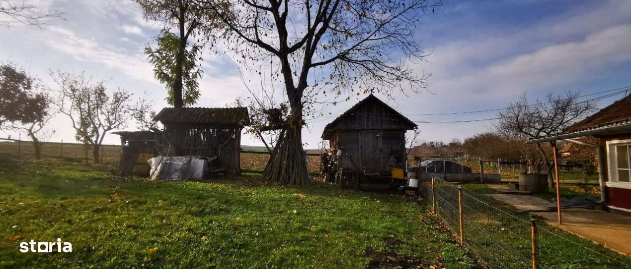 Teren intravilan 1800mp | Casa 2 camere-6