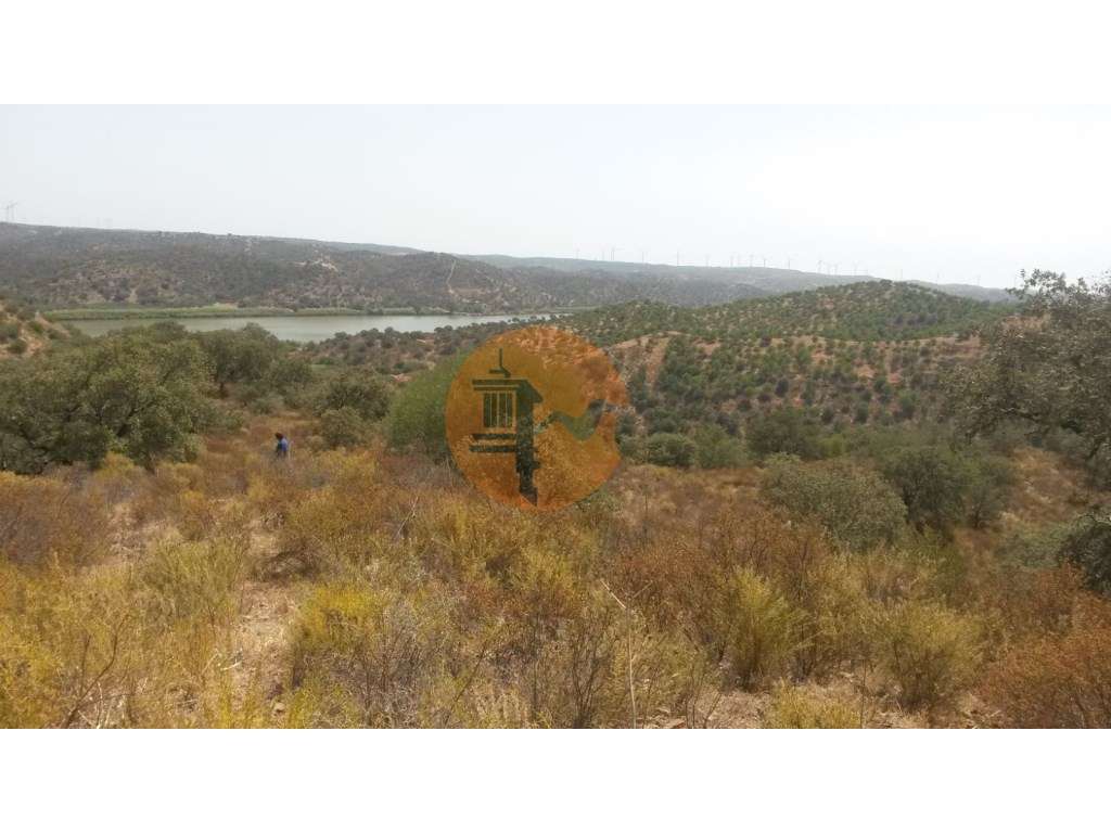 Terreno Rústico com 17.400 m2 vista rio Guadiana no Álamo - Grande imagem: 3/6