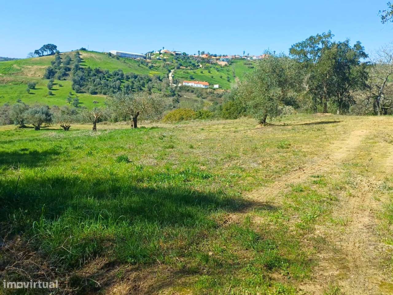 Terreno Rústico com 2 hectares - Grande imagem: 2/9