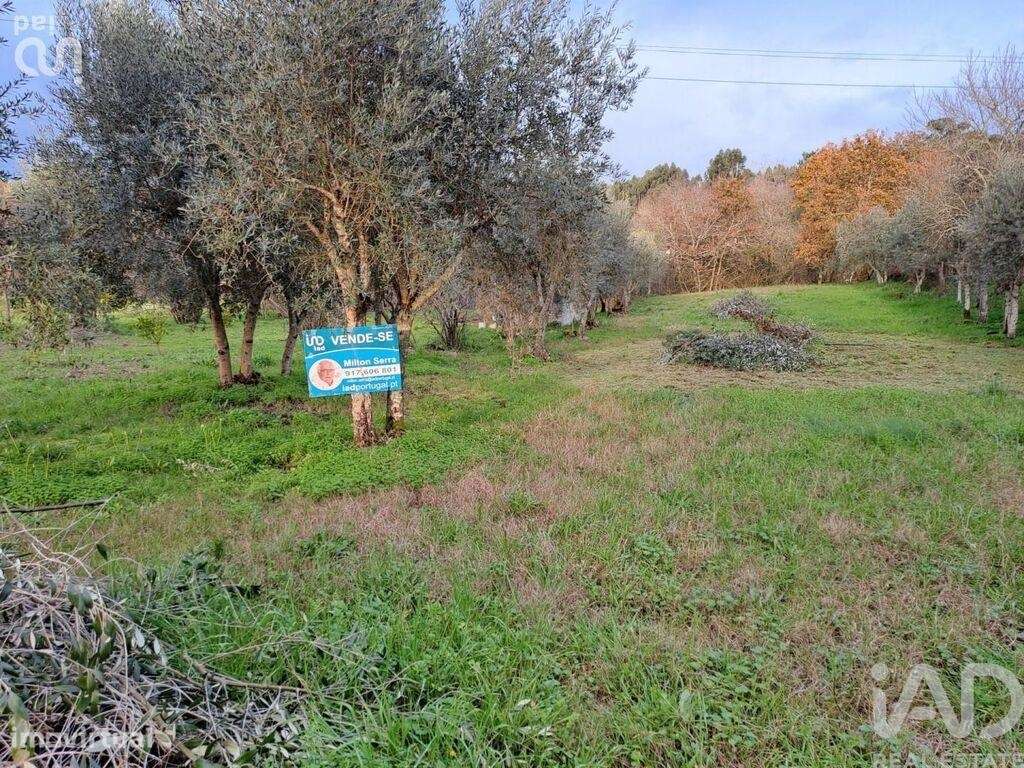 Terreno em Lousã e Vilarinho de 100,00 m2 - Grande imagem: 2/4