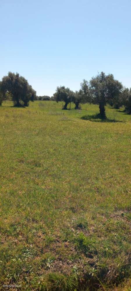 Venda Terreno - Grande imagem: 4/5