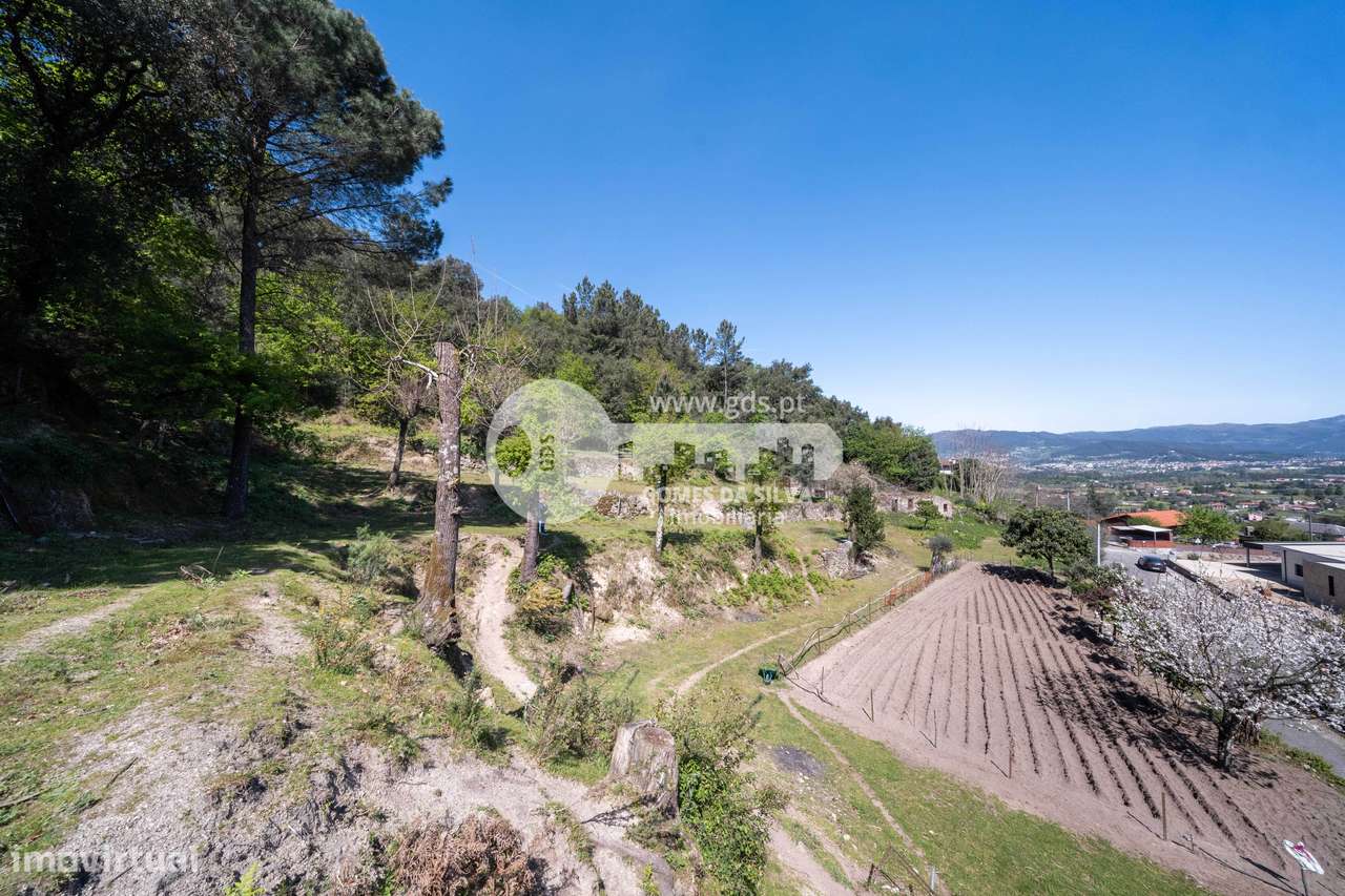 Ruína p/ restauro com 4.800m2 de terreno-10