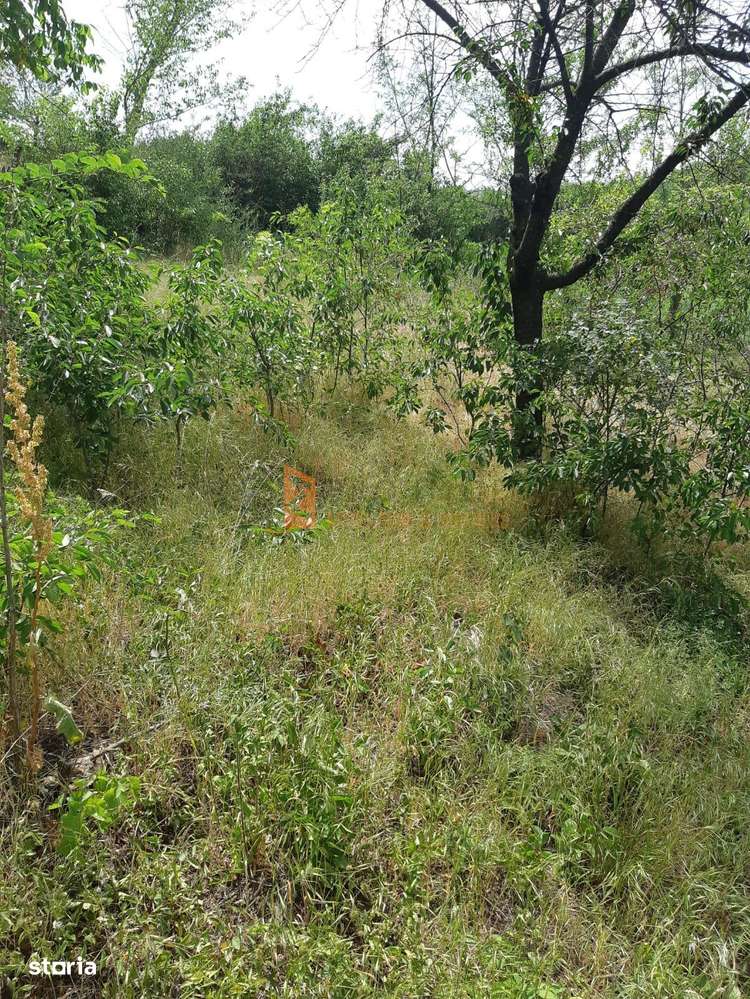 Teren intravilan zona Zarnesti - Imagine principală: 2/2