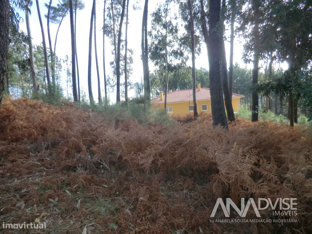 Lote de terreno para vender em Cavernães/ Viseu - Grande imagem: 4/6