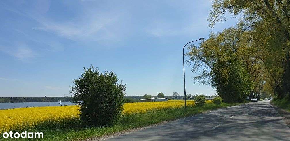 Działka 3000 m2 usługowo-handlowa ul. Krężnicka - Pełny obrazek: 5/6
