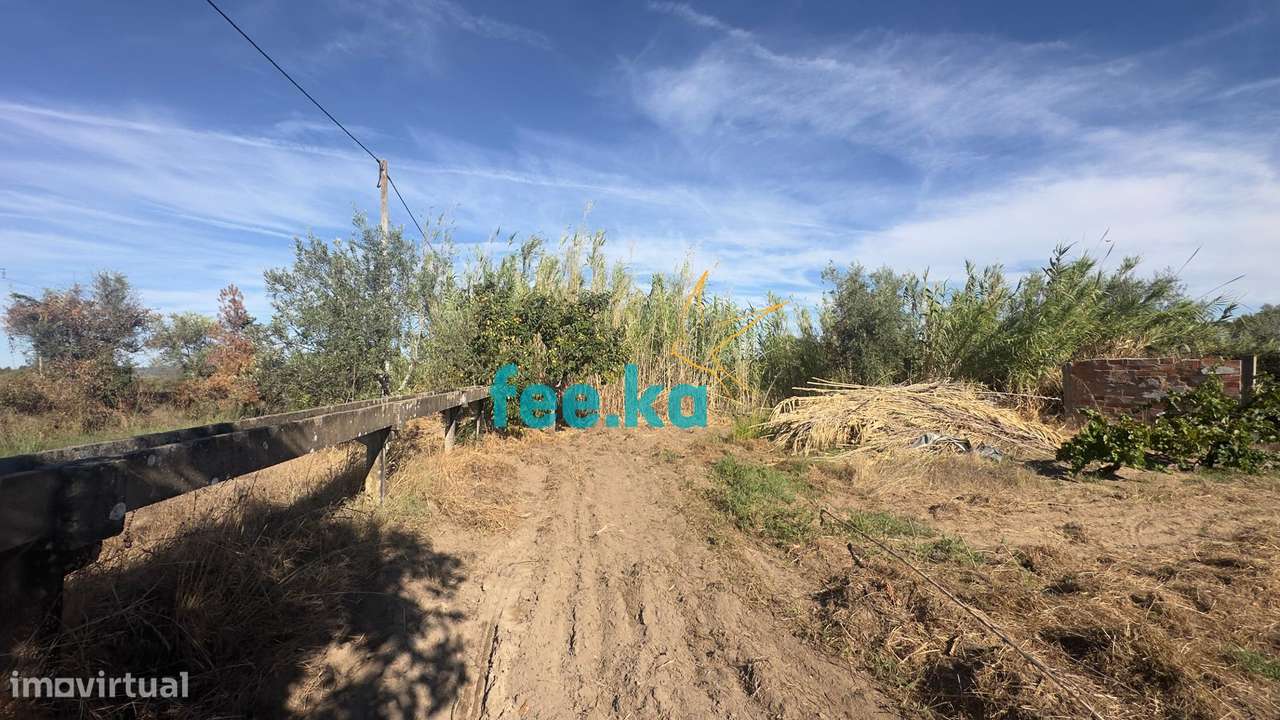Terreno em Ladoeiro-12