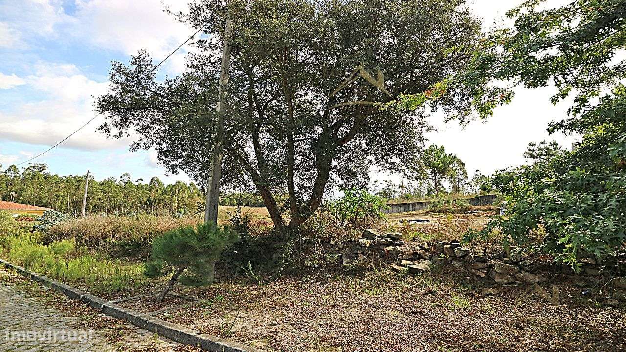 Terreno 20.000m/2 Macieira da Maia-15