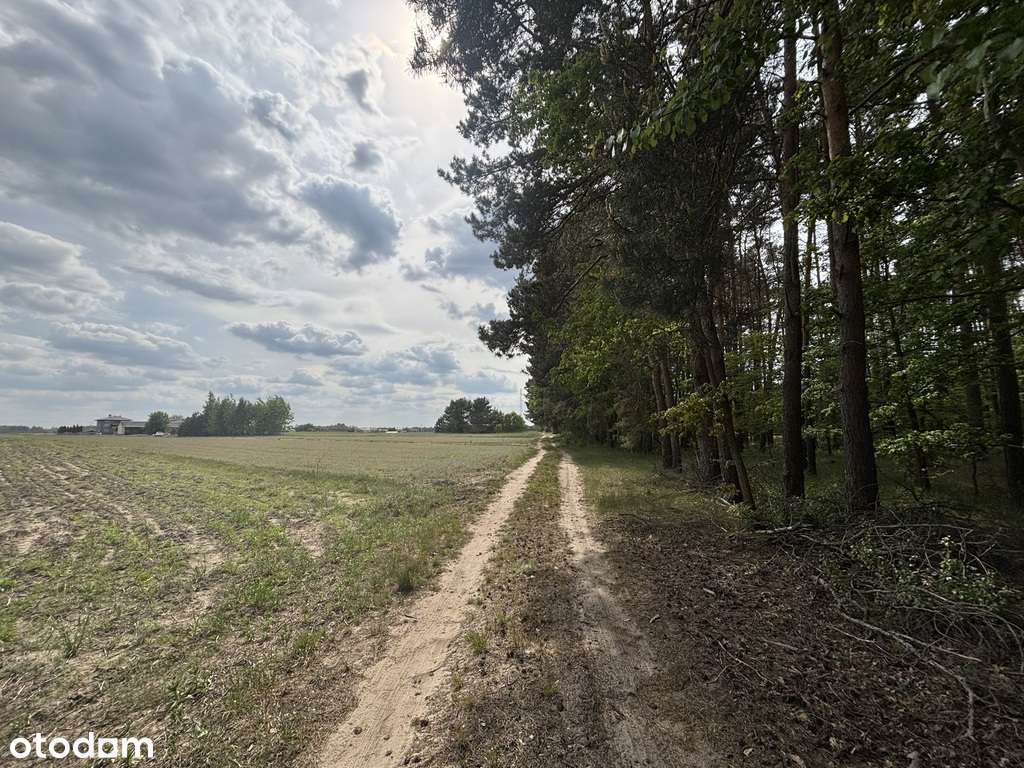 Duża działka budowlano-rolna Zalesiaki-Pieńki-5