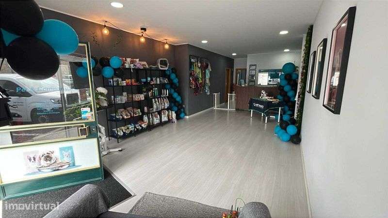 Trespasse Pet-Shop no centro de Gaia - Grande imagem: 5/5