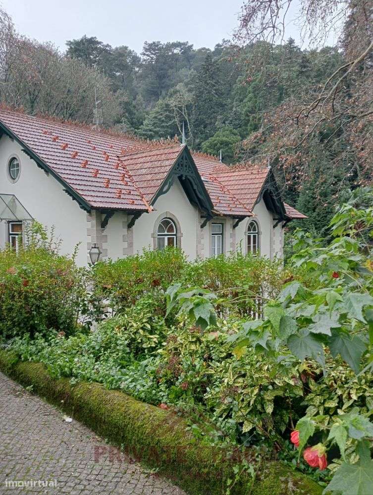 Quinta com área total de terreno 7.650m2-5