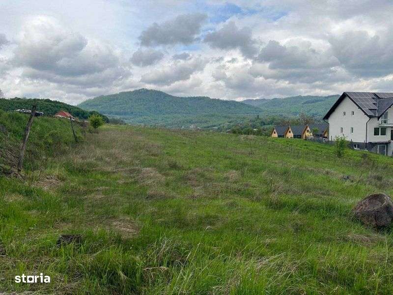 Teren de vanzare la Sovata, Str Fagului, 5.350 mp intravilan - Imagine principală: 4/7