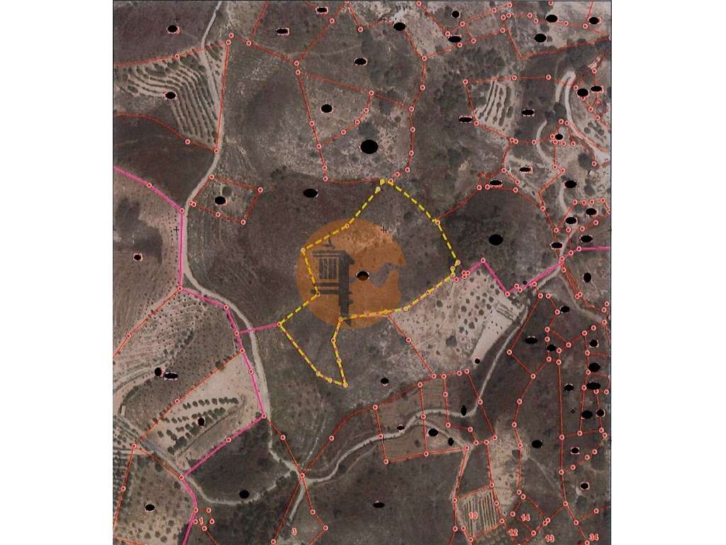 Terreno Rústico - 14600m2 - Fontainhas - Cortelha - Azinhal - Castr... - Grande imagem: 4/12