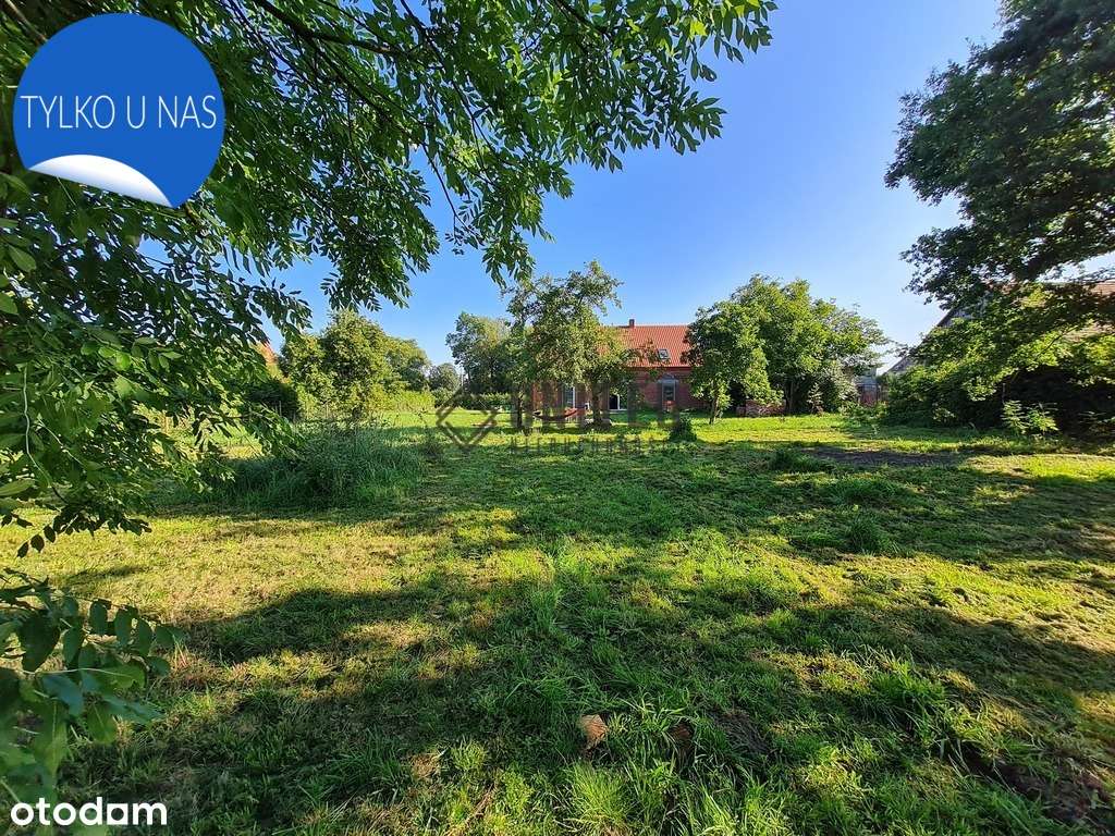 Dom z dużą działką w okolicy Twardogóry - Pełny obrazek: 5/12