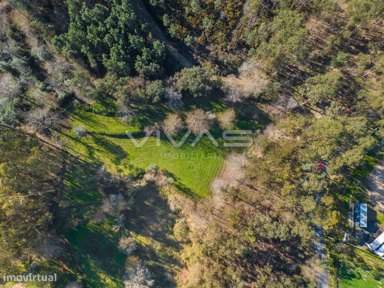 Terreno Rústico  Venda em Ribeira do Neiva,Vila Verde - Grande imagem: 5/28