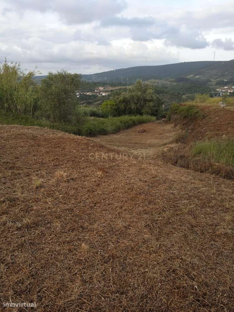 Terreno na Batalha | 1300m2 - Grande imagem: 2/3