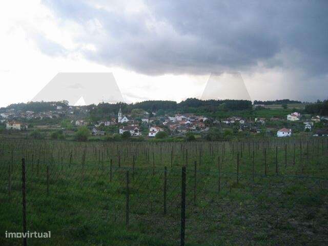 Terreno 4289,8 m2 com ruína em Sabugosa-Tondela - Grande imagem: 2/2