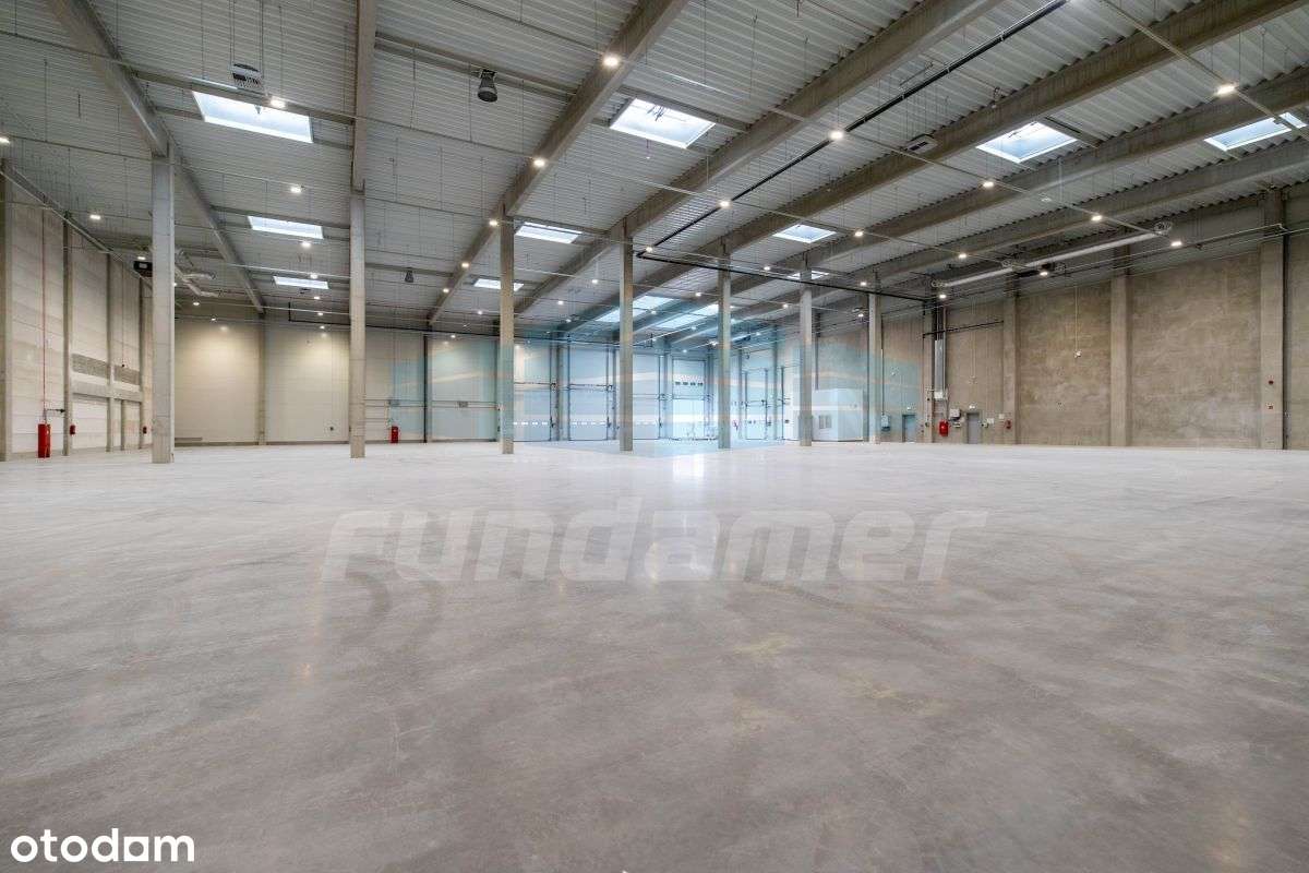 Nowy magazyn + biuro 800-3.900mkw S7 - Pełny obrazek: 5/12