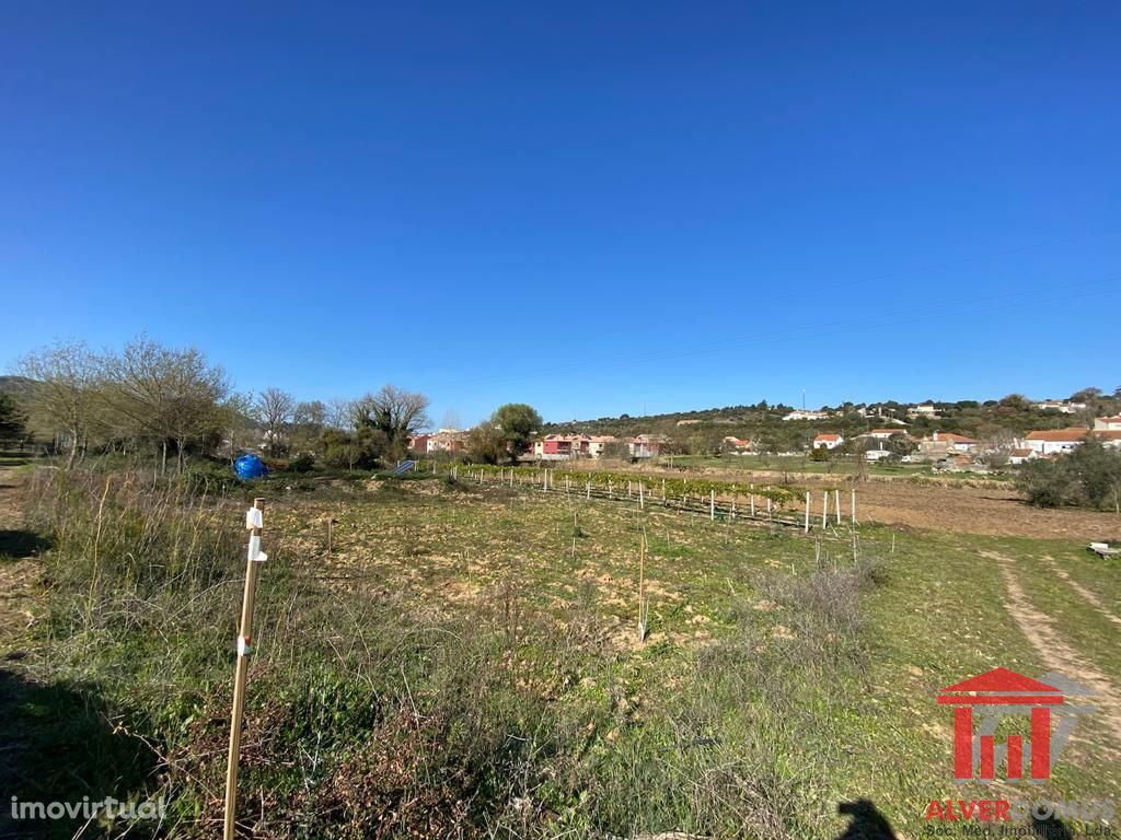 Terreno Agrícola - Bucelas