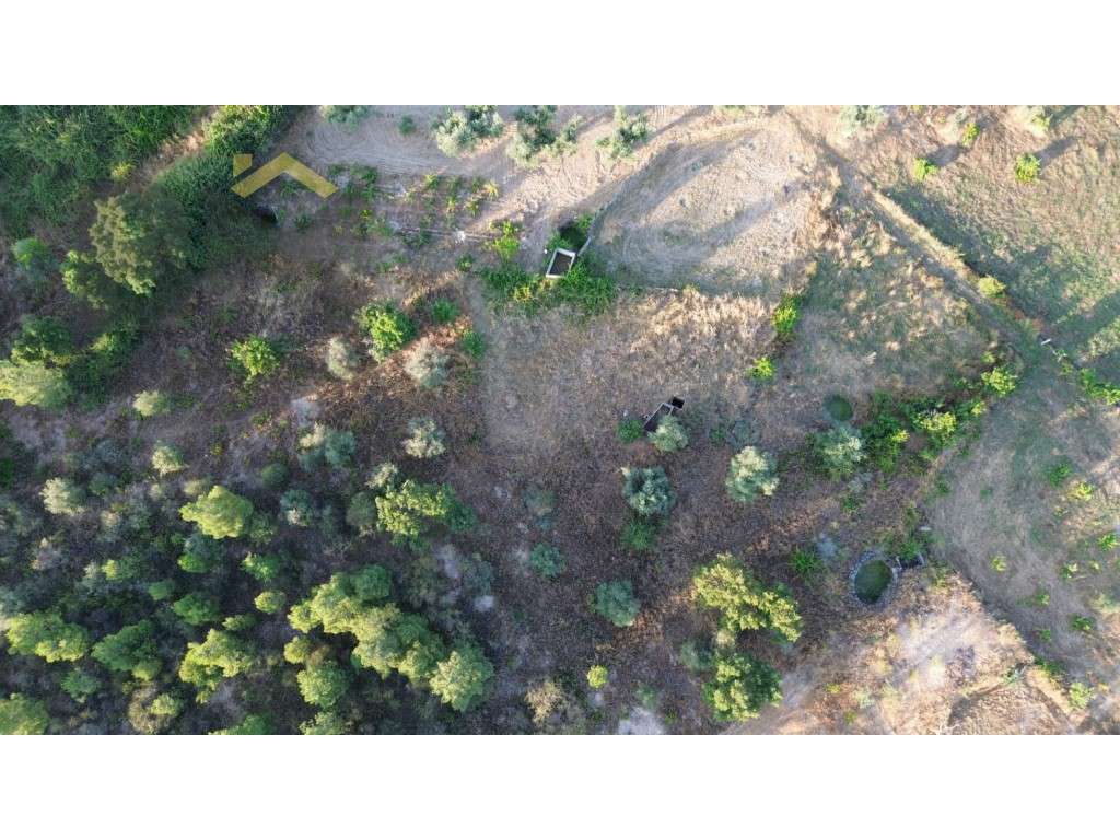 Terreno rústico com 920m2, para venda, em Juncal do Campo. - Grande imagem: 2/11