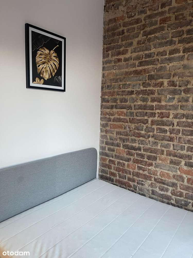 Mieszkania 2-pokojowe do wynajęcia - Pełny obrazek: 5/20