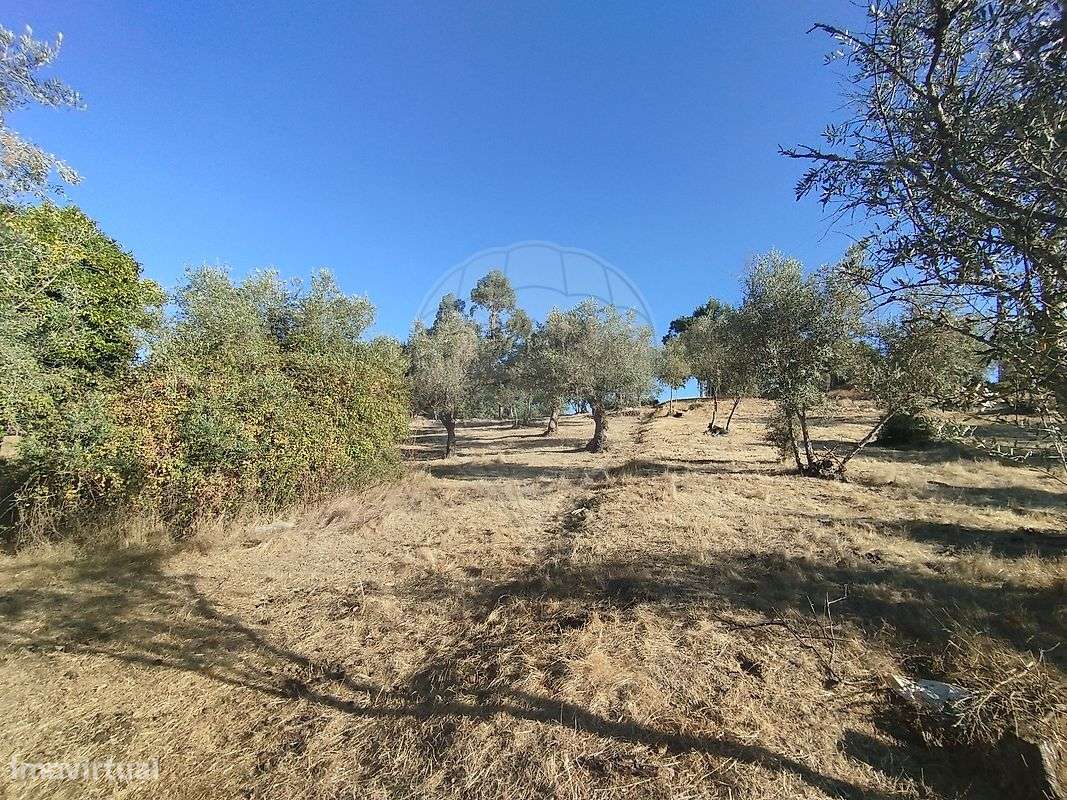 Terreno  para venda - Grande imagem: 2/5