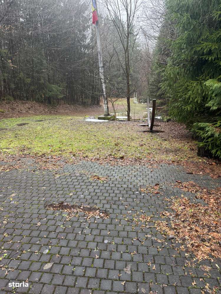 Casă de vacanță – Zona Baraj Firiza-6