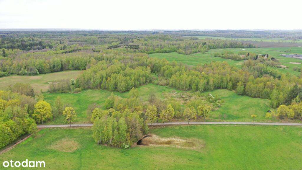 Działka Rolna 7,77 ha Langanki - Pełny obrazek: 5/15