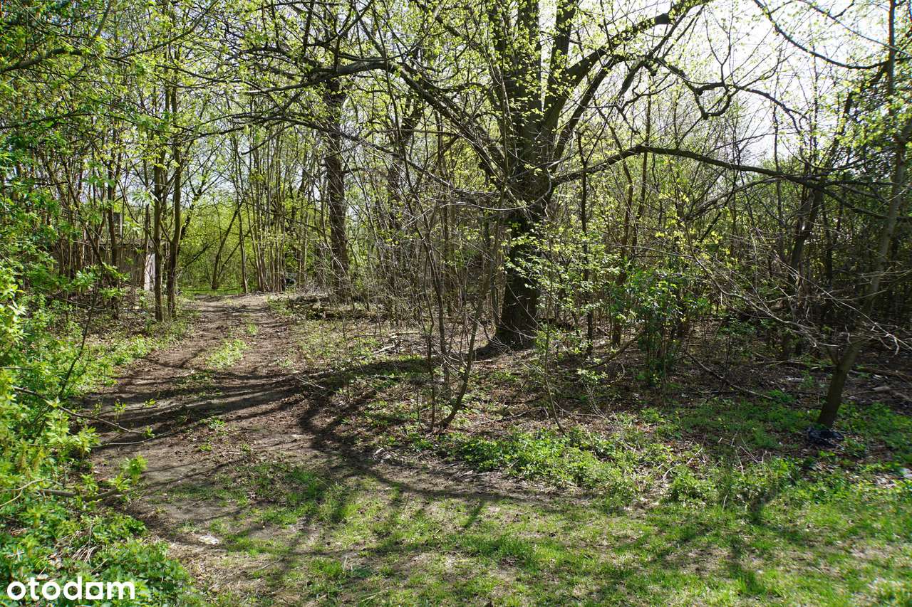 Działka, 820.0 m², Sulejówek-1